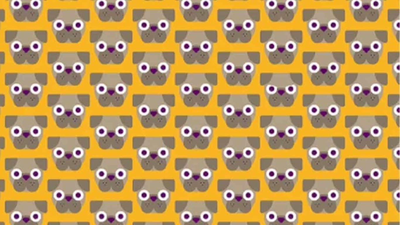 Desafio Visual: encontre 4 pugs diferentes em 20 segundos