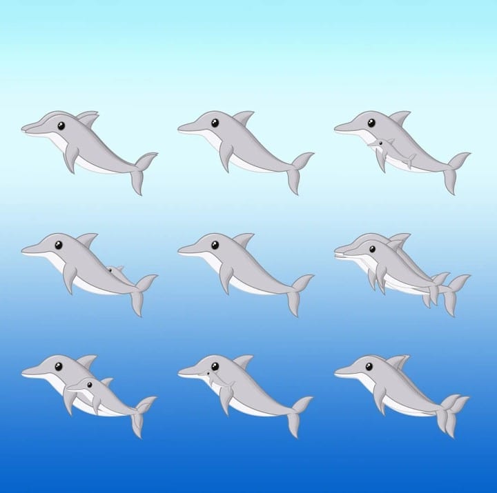 desafio visual quantos golfinhos tem na imagem Desafio visual -quantos golfinhos tem na imagem. Fonte: Jagran Josh.