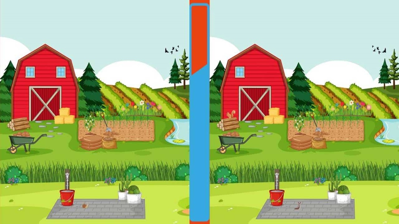 encontre as 5 diferenças teste de QI fazenda