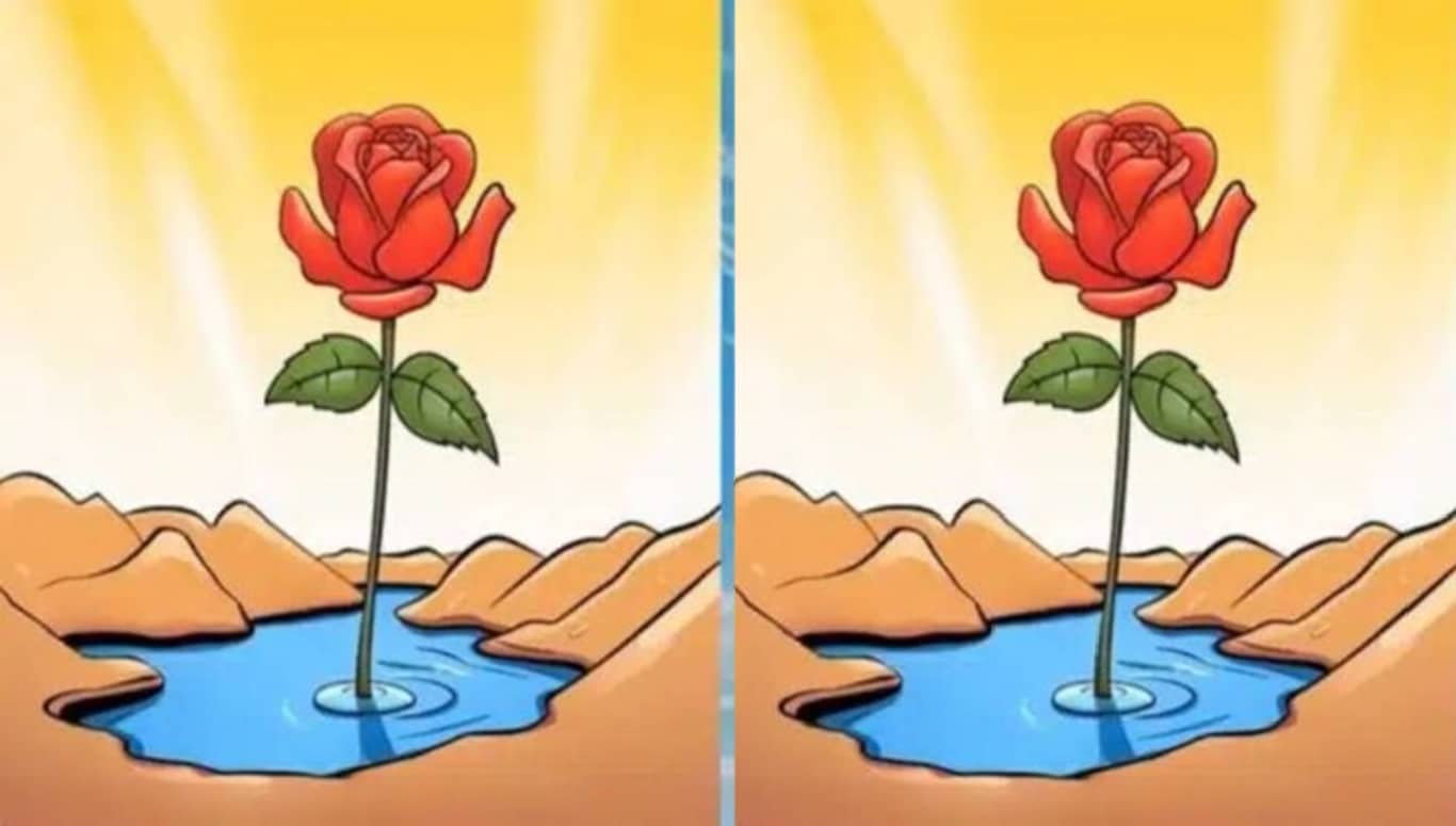 encontre três diferenças no desafio visual