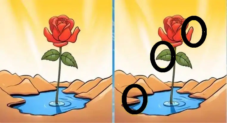 Desafio Visual: descubra 3 diferenças nas imagem das rosas em 10 segundos encontre três diferenças no desafio visual solução