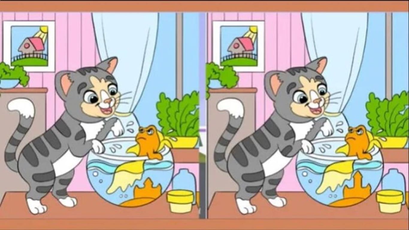 Teste de QI: descubra quais as 3 diferenças na imagem do gatinho