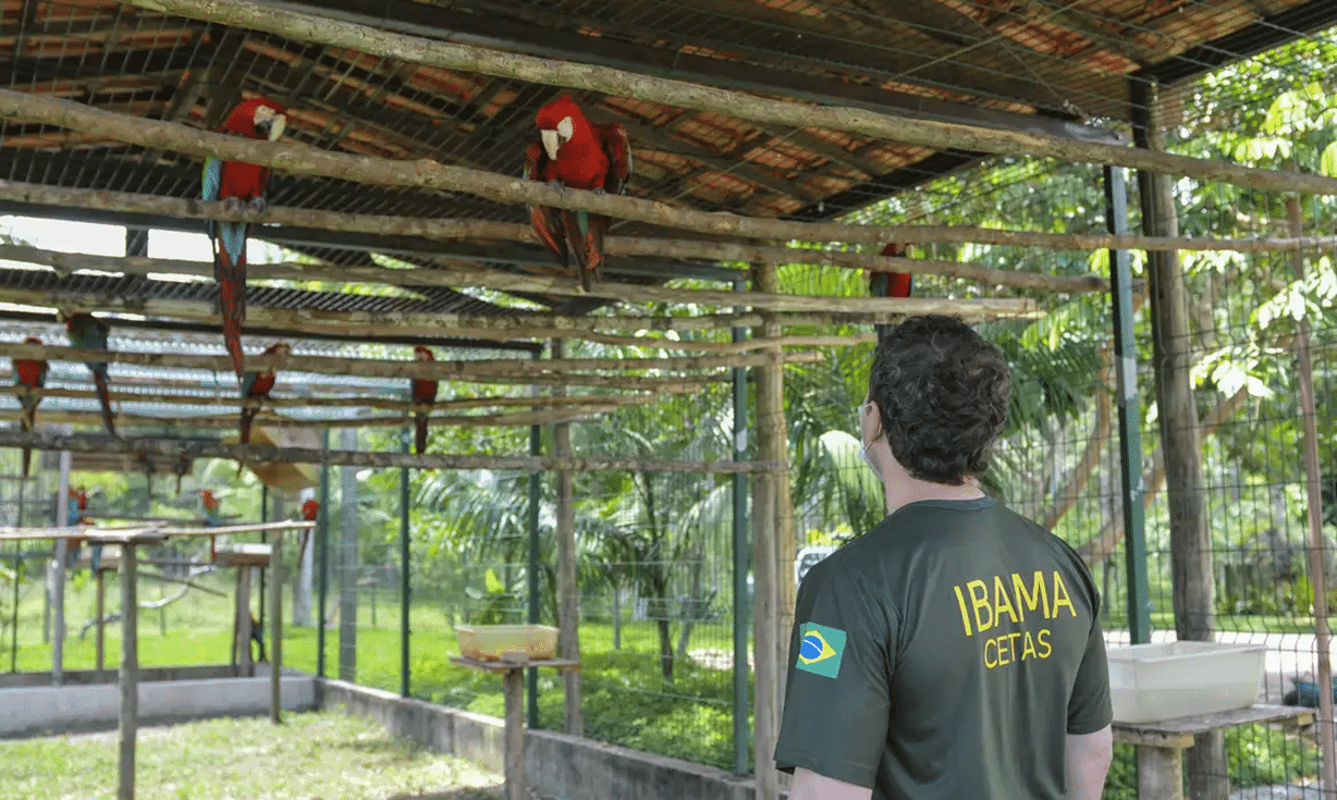 Agente do Ibama trabalhando.