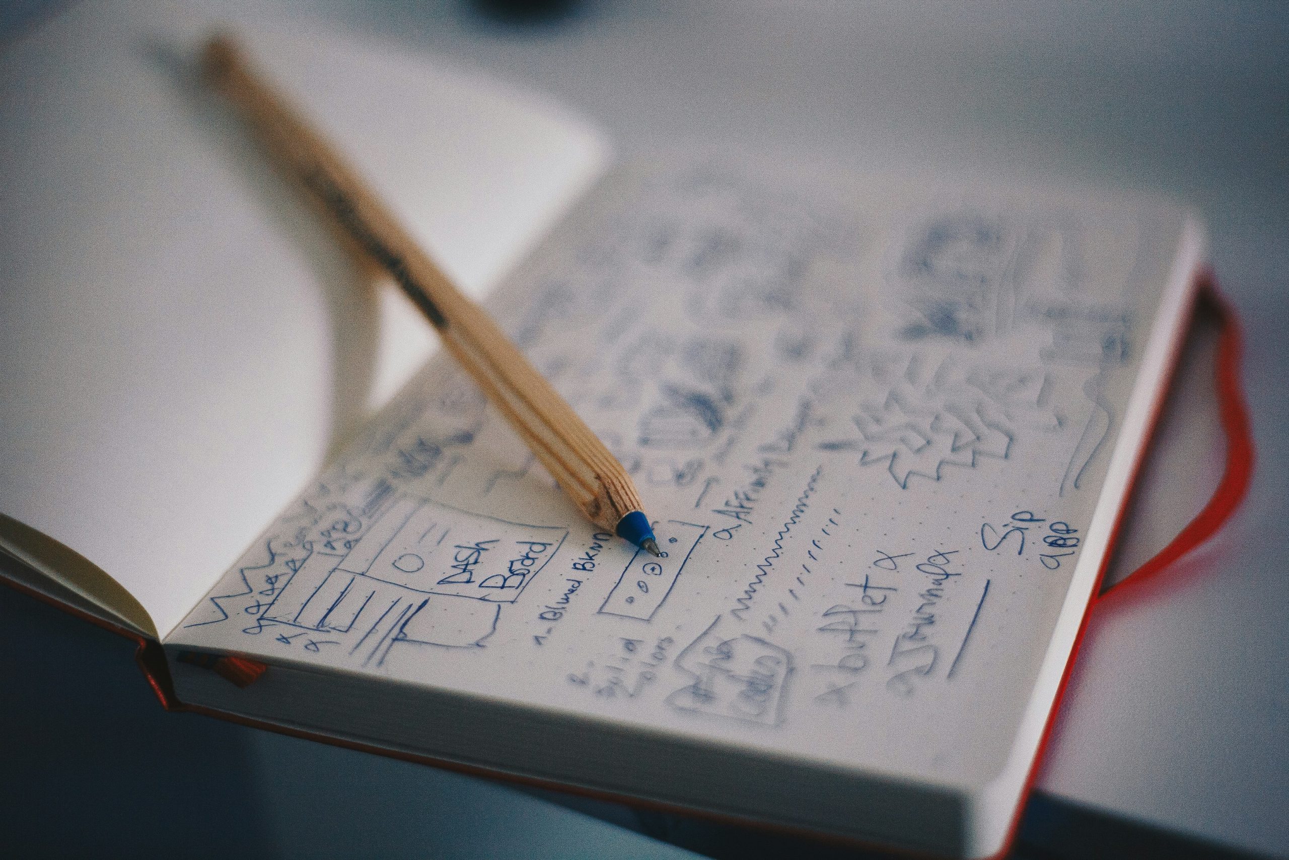 Não precisar ser difícil – quando usar "entre" e "dentre" no texto (Foto: Unsplash).