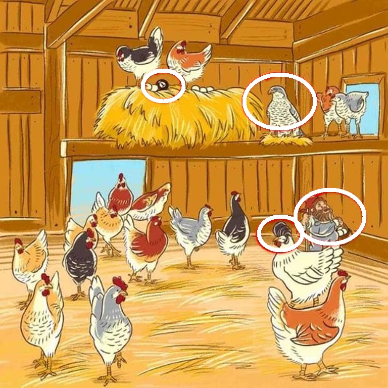 Desafio Visual: você consegue encontrar os 4 erros em 20 segundos? quatro erros nesse desafio visual solução