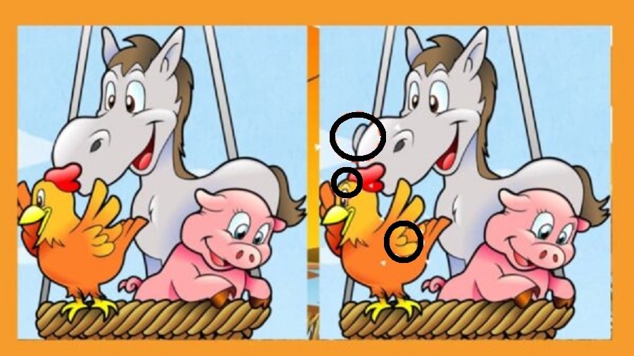 Raciocínio Lógico: descubra 3 diferenças entre as imagens do animais em 15 segundos raciocínio lógico desafio diferenca cavalo galinha porco solucao