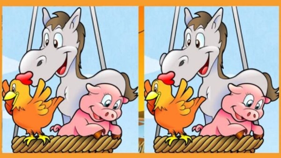 Raciocínio Lógico: descubra 3 diferenças entre as imagens do animais em 15 segundos raciocínio lógico desafio diferenca cavalo galinha porco