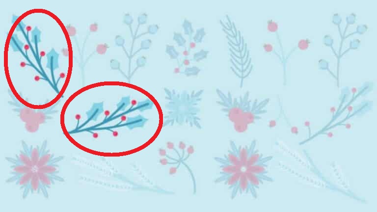 Desafio Visual: será que você encontra as flores idênticas em 15 segundos? Desafio Visual: será que você encontra as flores idênticas em 15 segundos?