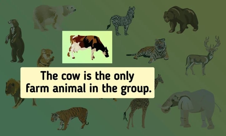 resposta do desafio do animal que nao pertence ao grupo Resposta do desafio do animal que não pertence ao grupo. Fonte: Jagran Josh.