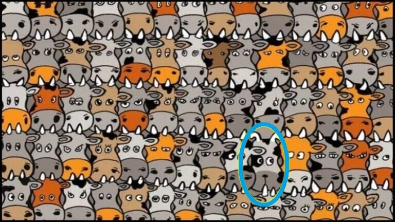 Desafio Visual: localize o cachorro escondido em meio as vacas em 10 segundos Desafio Visual: localize o cachorro escondido em meio as vacas em 10 segundos