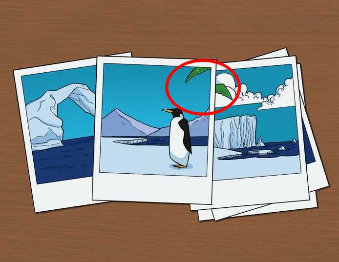 resposta do desafio visual do erro do pinguim Resposta do desafio visual do erro do pinguim. Fonte: Jagran Josh.