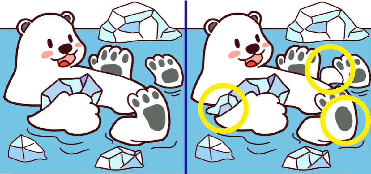 resposta do desafio visual dos erros do urso polar Resposta do desafio visual dos erros do urso polar. Fonte; Jagran Josh.