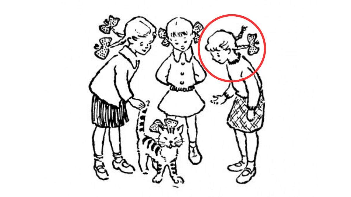 resposta do teste de qi veja quem e a dona do gato Resposta do teste de QI - veja quem é a dona do gato. Fonte: Jagran Josh.