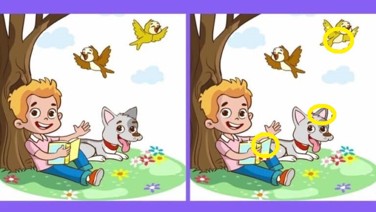 Teste de QI: encontre as 3 diferenças entre as imagens em 20 segundos Teste de QI: encontre as 3 diferenças entre as imagens em 20 segundos