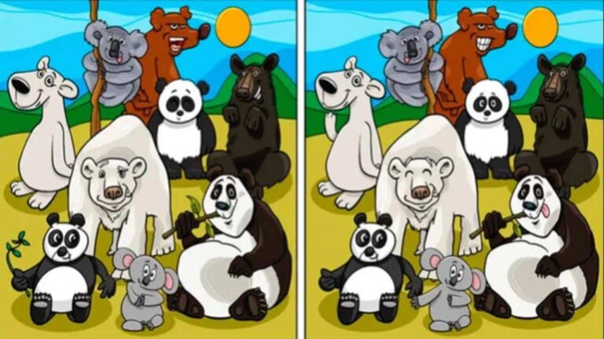 Teste de QI: você é capaz de encontrar 10 diferenças entre as imagens em 25 segundos? teste de QI encontre as diferenças bichos