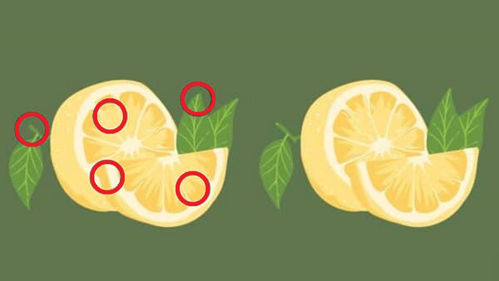 Teste de QI: desafie seu QI encontrando todas as diferenças em 15 segundos teste de QI encontrará diferenças em quinze segundos solução