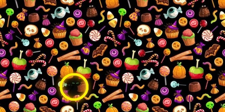Teste de QI: você é capaz de encontrar o gato entre os doces em 15 segundos? teste de QI encontre o gato preto entre os doces de halloween solução