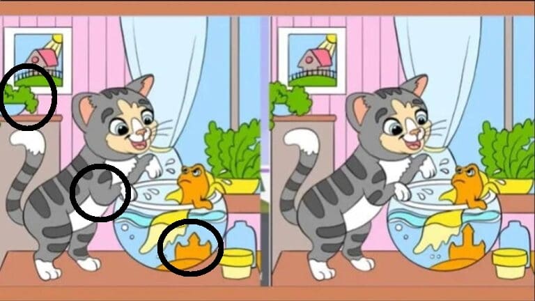 Teste de QI: descubra quais as 3 diferenças na imagem do gatinho em 20 segundos Teste de QI: descubra quais as 3 diferenças na imagem do gatinho em 20 segundos
