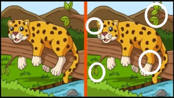 Raciocínio Lógico: encontre 4 diferenças na imagem da onça em 15 segundos Raciocínio Lógico: encontre 4 diferenças na imagem da onça em 15 segundos