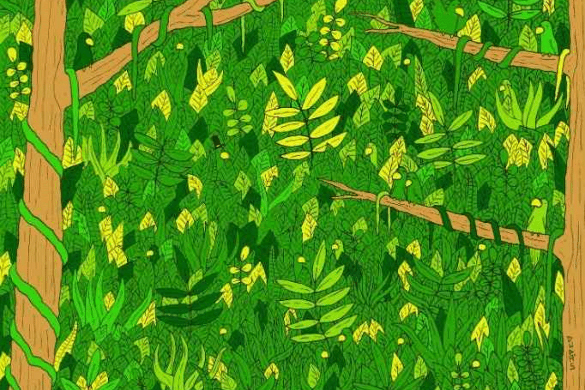 Desafio visual da cobra entre as plantas. Fonte: Jagran Josh.