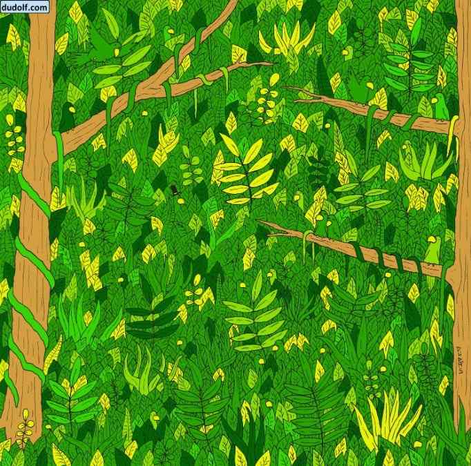 desafio visual da cobra entre a imagem Desafio visual da cobra entre as plantas. Fonte: Jagran Josh.