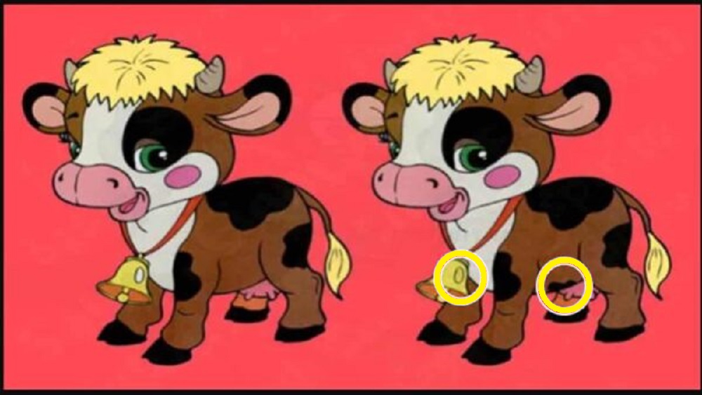 Desafio Visual: descubra 2 diferenças entre as vaquinhas em 10 segundos desafio visual diferenças entre as vaquinhas solução