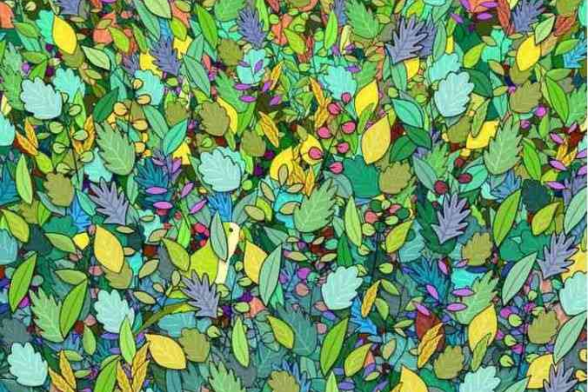 Desafio visual do papagaio entre as folhas. Fonte: Jagran Josh.
