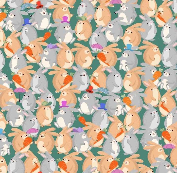 Desafio visual do rato escondido entre os coelhos. Fonte: Jagran Josh.