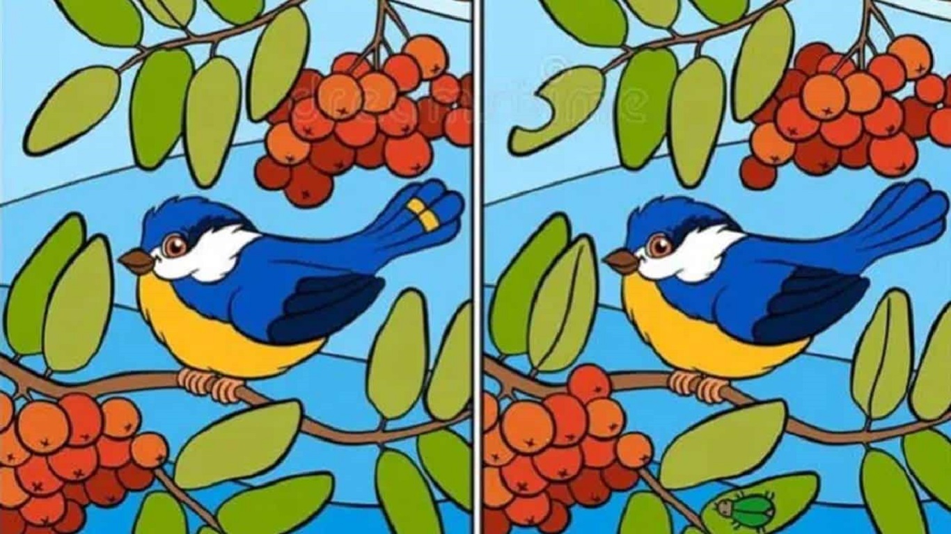 desafio visual encontre doze diferenças