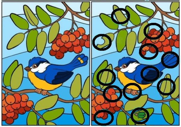 Desafio Visual: você é capaz de encontrar 12 diferenças em 25 segundos? desafio visual encontre doze diferenças solução