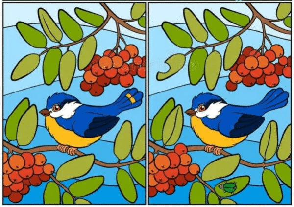 Desafio Visual: você é capaz de encontrar 12 diferenças em 25 segundos? desafio visual encontre doze diferenças