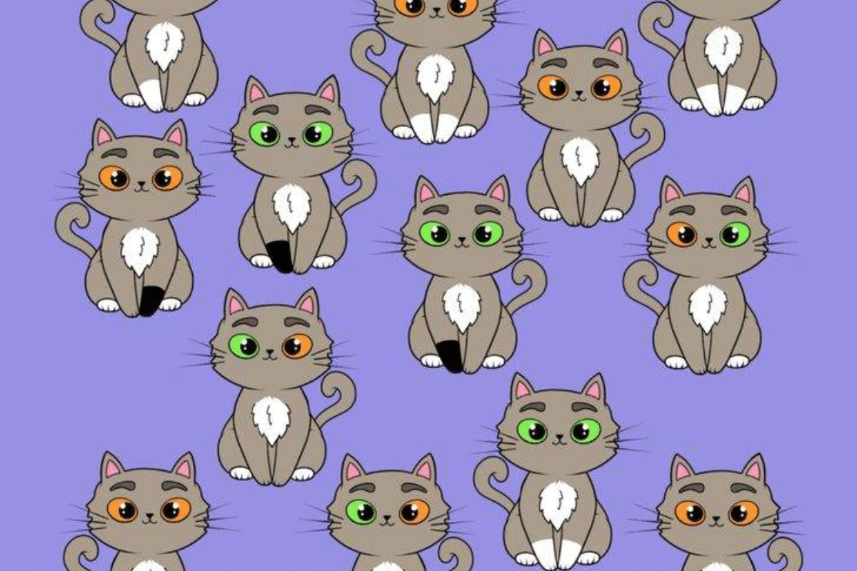 Desafio visual gato sem par. Fonte: Jagran Josh.