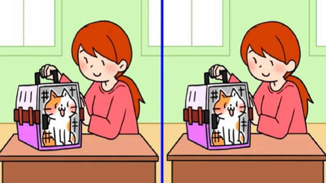 Desafio visual com Ilustração de uma menina segurando uma caixa de transporte com um gato dentro, em um desafio de encontrar as diferenças.