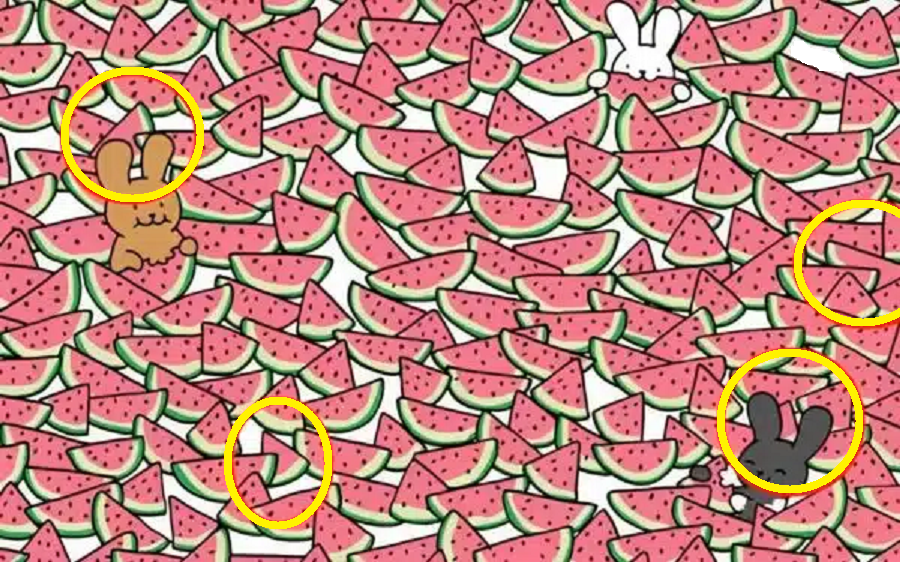Encontre as Melancias Sem Sementes - Desafio de Raciocínio Lógico Solução do desafio raciocínio lógico: encontre as melancias sem sementes entre coelhinhos fofos e fatias de melancia