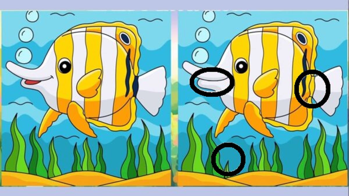 Teste de QI: Encontre as 3 diferenças entre os peixes! lustração de dois peixes coloridos lado a lado com diferenças sutis para um jogo de encontrar as diferenças.