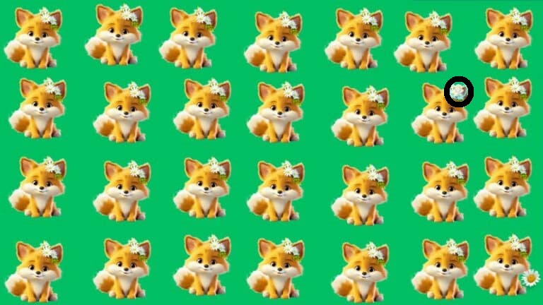 Teste Visual: você é capaz de identificar a raposa diferente em 10 segundos? encontrando a raposa diferente neste teste visual solução.