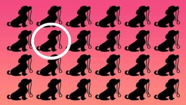 Desafio Visual: Encontre o Cão Diferente entre os Silhuetas Imagem com vários cães silhuetas, todos segurando uma coleira, criando um desafio visual para encontrar o cão diferente.