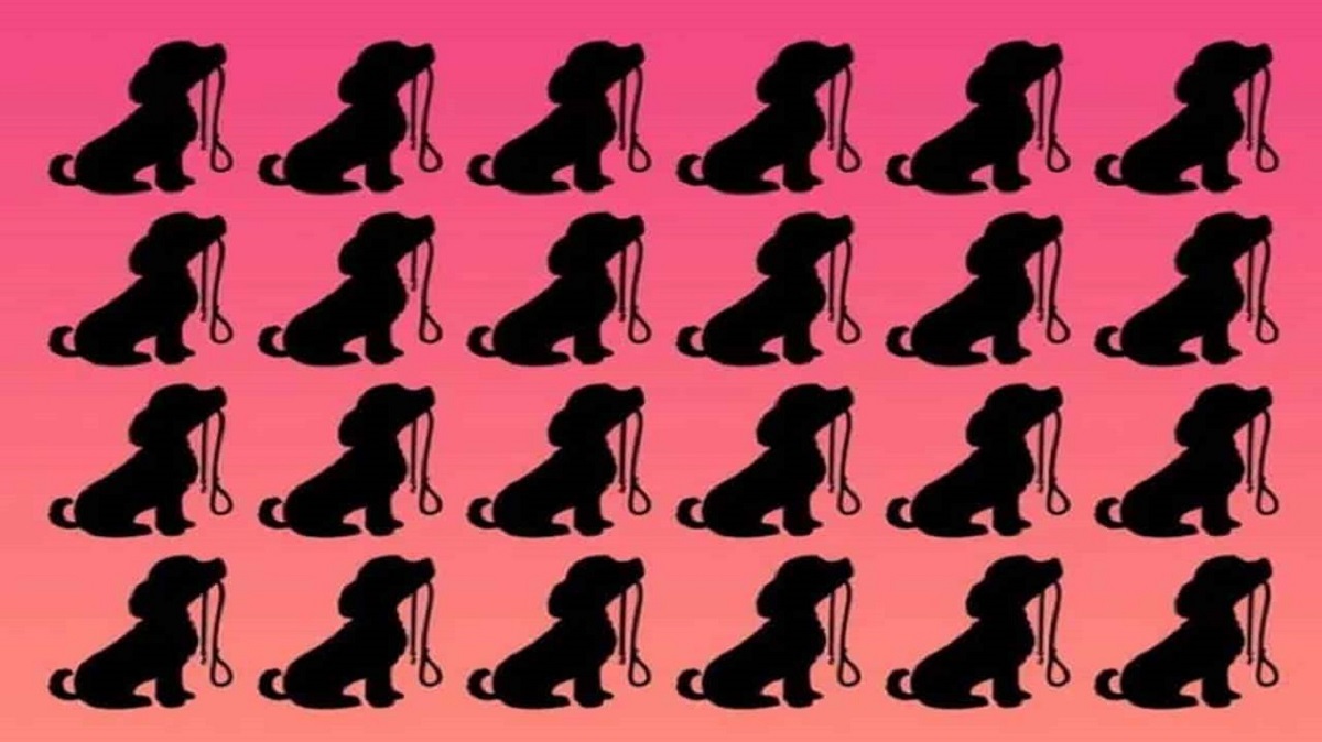 Desafio Visual: Encontre o Cão Diferente entre os Silhuetas Imagem com vários cães silhuetas, todos segurando uma coleira, criando um desafio visual para encontrar o cão diferente.