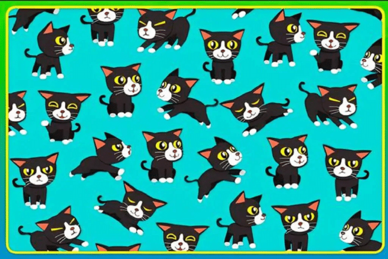 Teste Visual: você é capaz de identificar quantos gatos sem rabo tem na imagem? Teste visual com de gatinhos pretos e brancos em fundo azul vibrante