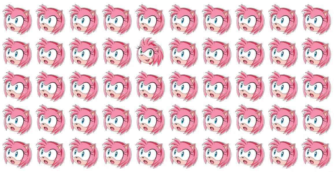 desafio visual encontre a amy rose diferente Desafio visual - Encontre a Amy Rose diferente. Fonte: Jagran Josh.