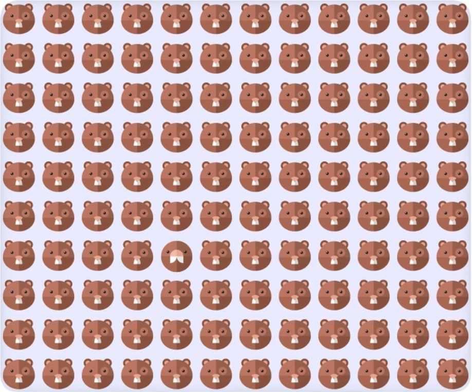 Desafio visual - Encontre o animal diferente na imagem. Fonte: Jagran Josh.