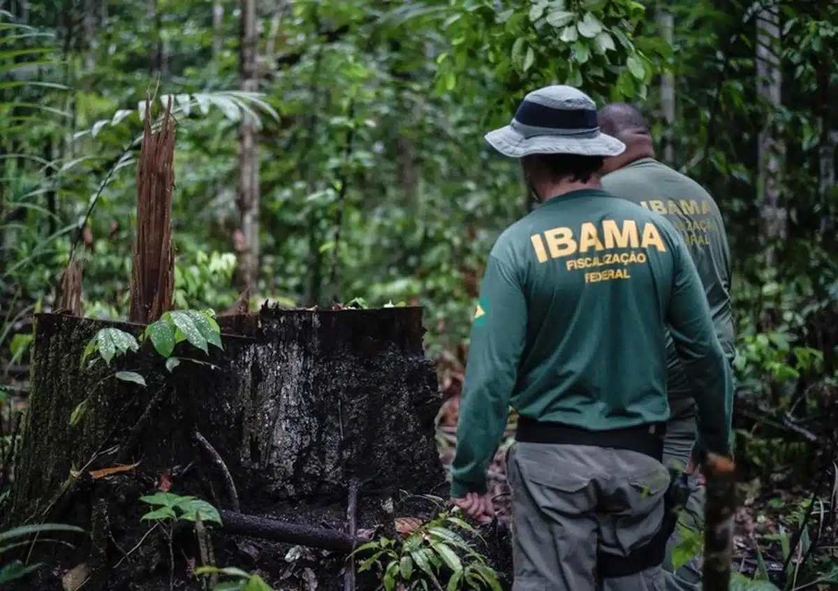 : "Agentes do IBAMA realizando fiscalização em área de floresta, monitorando a preservação ambiental.