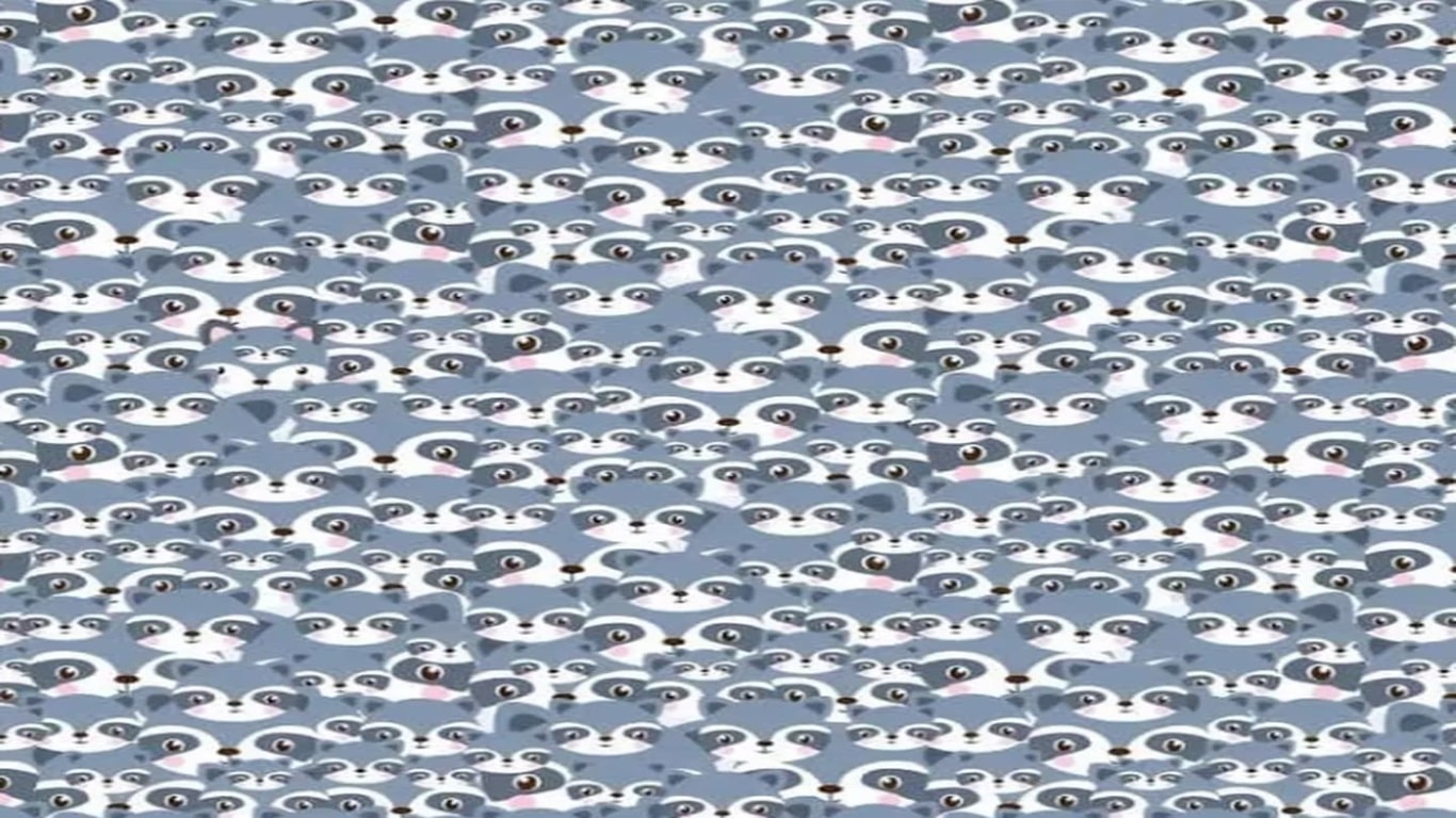 Teste visual com desenhos repetidos de guaxinins com um único diferente escondido na imagem.