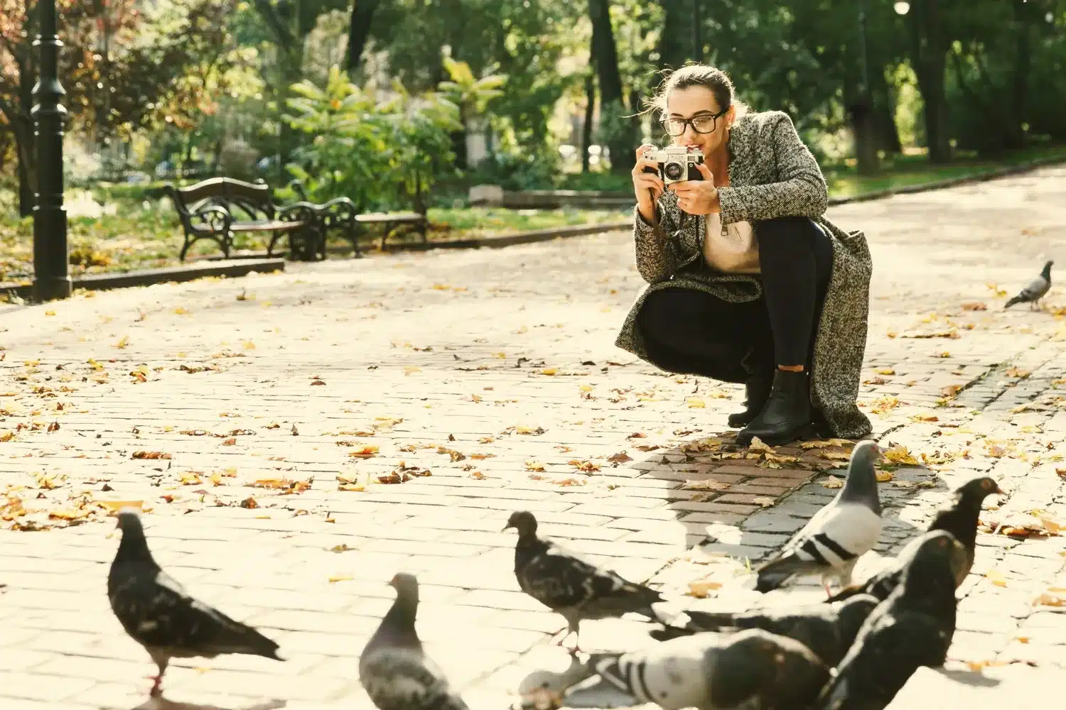 Pombos em bandos: uma cena de socialização e interação no ambiente urbano. Mulher fotografando pombos em um parque, enquanto as aves estão agrupadas, refletindo seu comportamento social.
