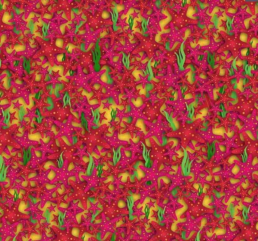 Você consegue encontrar o avião escondido entre as estrelas-do-mar? Teste agora sua atenção! Desafio visual colorido com várias estrelas-do-mar em tons de vermelho e rosa, intercaladas com algas verdes sobre fundo amarelo.