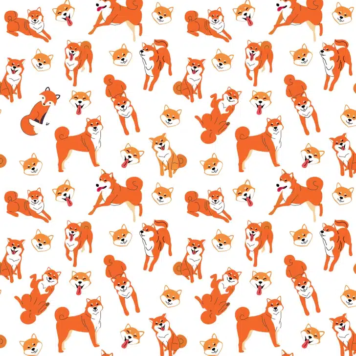 Ache a raposa entre os cães Shiba Inu desenhados em diferentes posições e expressões. Desafio visual com várias ilustrações de cães Shiba Inu em diferentes poses com fundo branco
