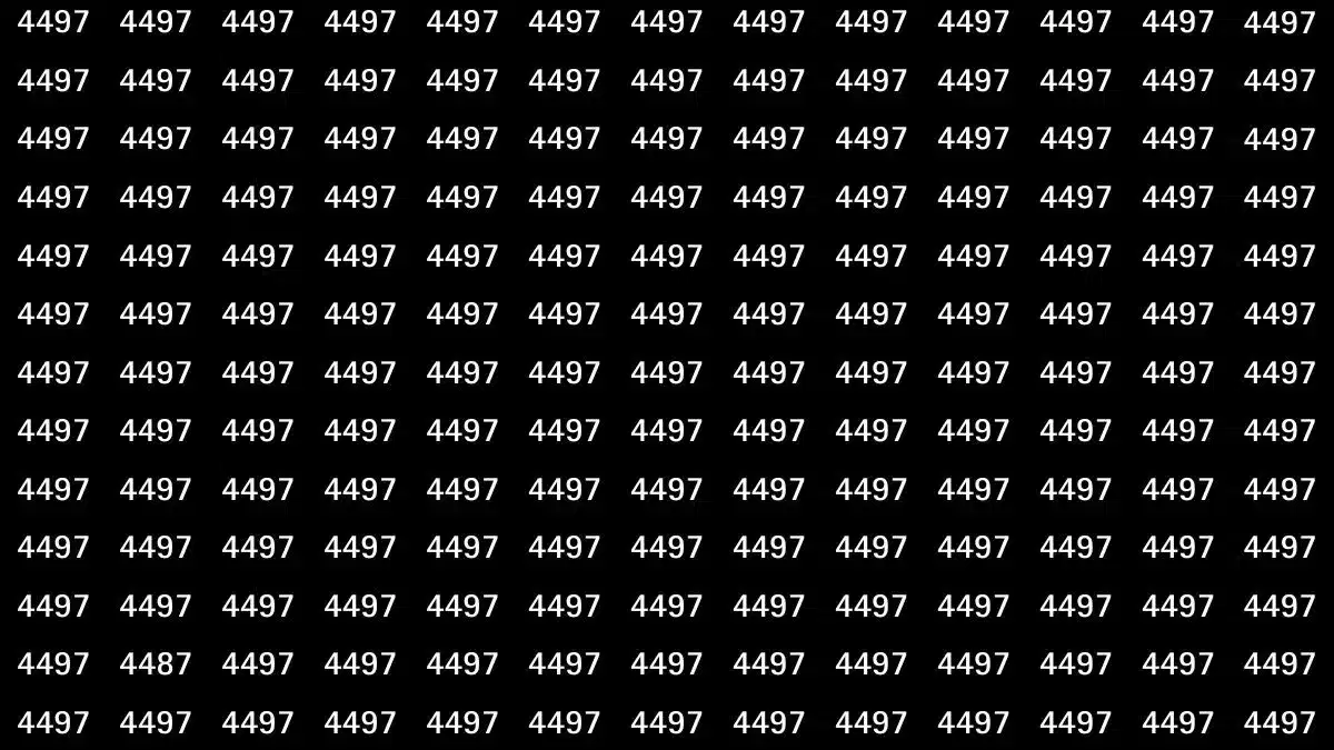 capa Fundo preto com números "4497" repetidos em linhas e colunas brancas.