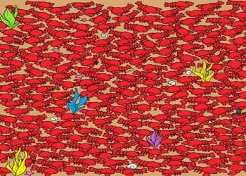 Ilustração com centenas de caranguejos vermelhos em praia de areia com elementos coloridos.