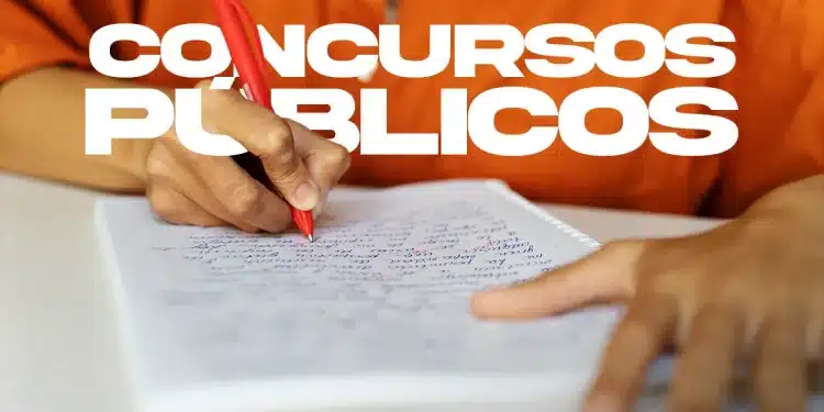 Mulher estudando para concurso público da prefeitura, editais abertos para níveis fundamental, médio, técnico e superior. Oportunidades de emprego.