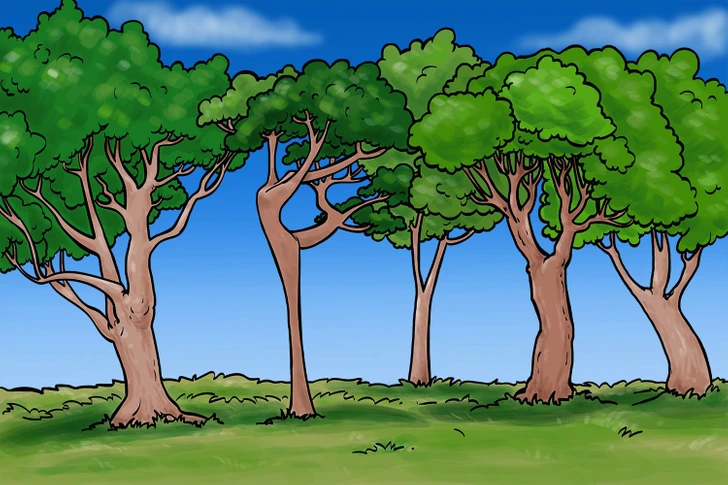 Ache a bailarina escondida entre as árvores em um campo verde. Teste visual com uma ilustração colorida de cinco árvores com copas verdes em campo gramado sob céu azul